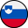 Slovenia Flag