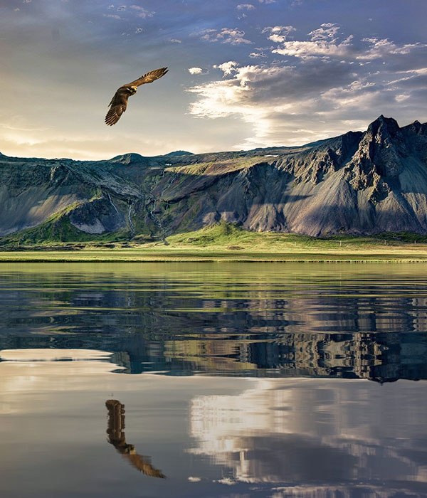 New Zealand | foto pexels.com